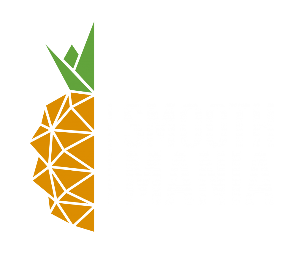 SUMO GONFLABLE – SMOOTHMANIA